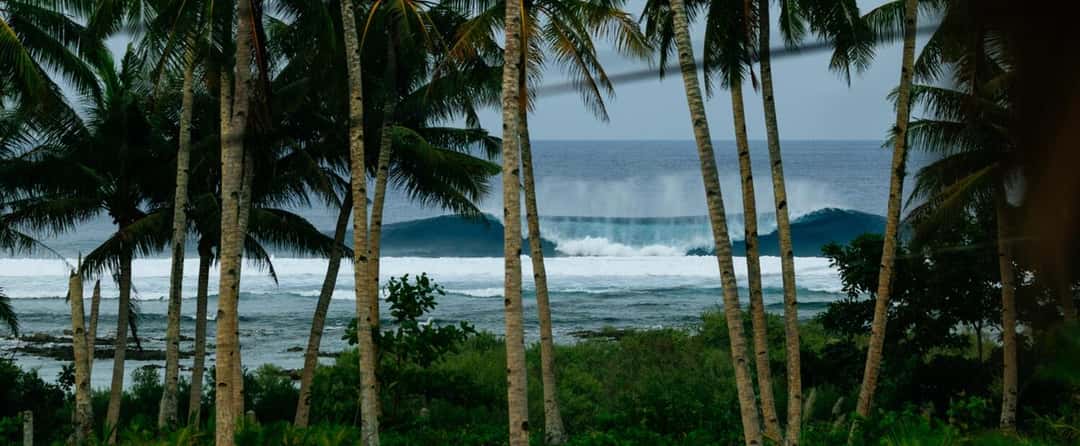 La rompiente de Cloud 9 vista entre palmeras desde la costa de Siargao, con una ola que se arma sobre el arrecife
