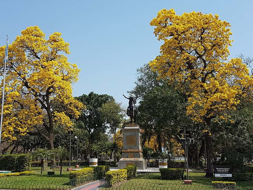 La plaza San Martín de la ciudad de Formosa, con lapachos amarillos en flor alrededor del monumento central; foto de archivo de 2021 (foto: Tencho, Wikimedia Commons, licencia CC BY-SA 4.0)
